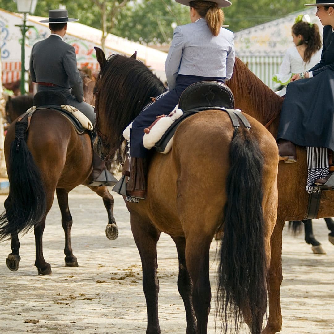 Albero para romerías y ferias ¿cómo preparar el terreno para eventos en primavera? - Hermanos Salguero